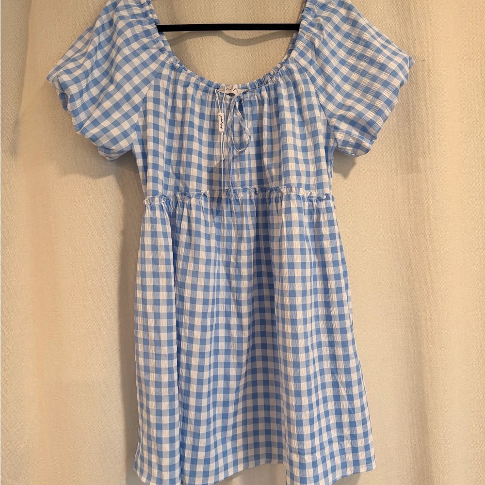 Petal & Pup Blue Gingham Mini Dress